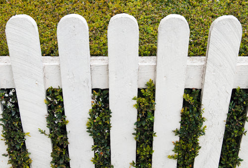 Pressure Washing  - Fence